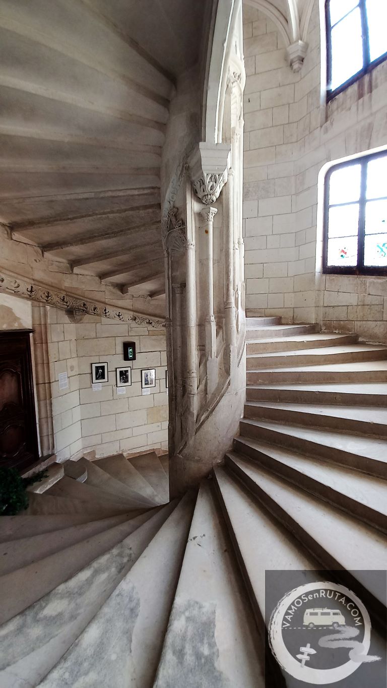 ver-valle-del-loira-Chaumont-sur-Loire-francia (510)