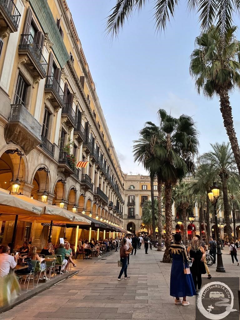 Qué ver en Barcelona. Plaza Real