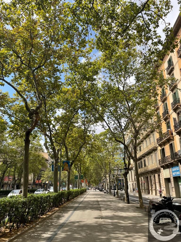 Gran Via  de les Corts Catalanes
