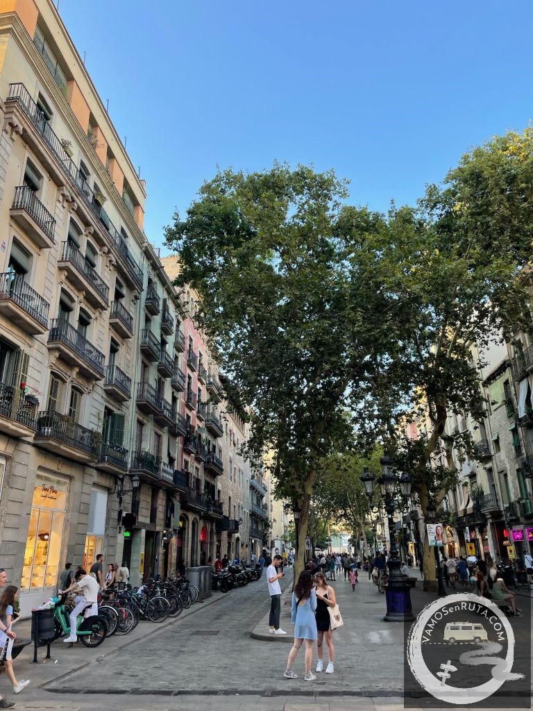 Passeig del Born