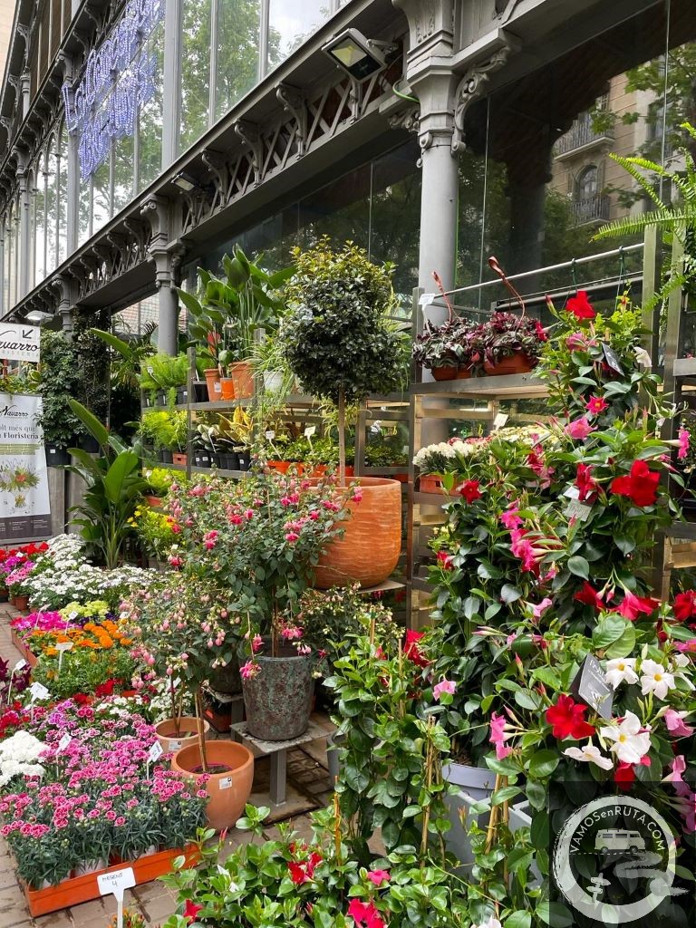 Qué ver en Barcelona. Mercat de la Concepció
