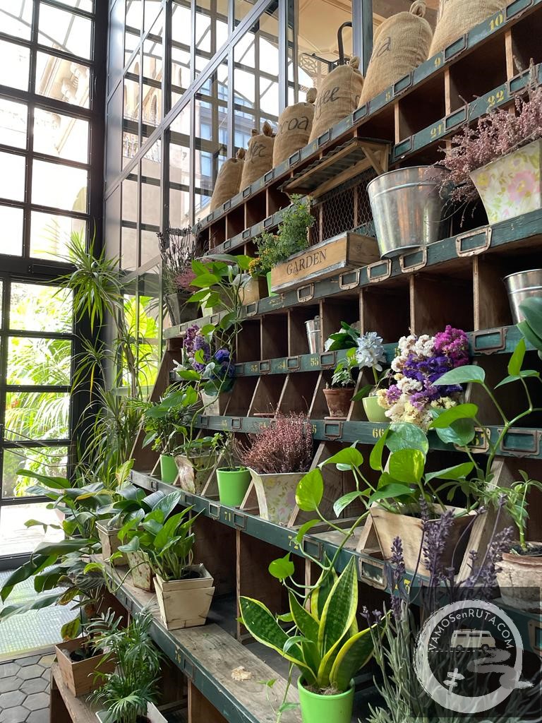 QUE-VER-BARCELONA-TOMAR-ALGO-EL-NACIONAL (2)